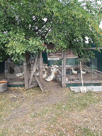 Продаю дом 200 м² на участке 16 сот. Рассказово - изображение 2