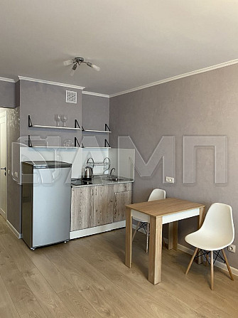 Продается студия с мебелью, 26,5 м² в ЖК «Новые Черемушки» 5/19 этаж Красноярск - изображение 6