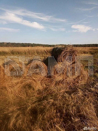 Продаю участок 31 га (СНТ, ДНП) Михайлов - изображение 2