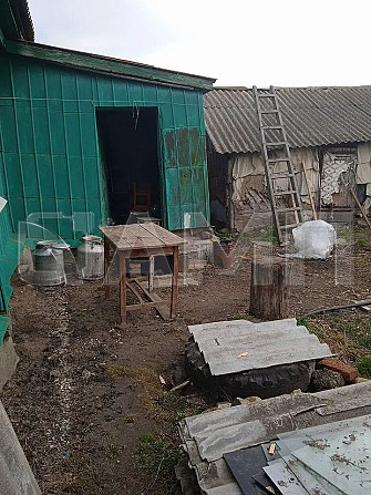 Продается дом 50,5 м² на участке 12 сот. Жердевка - изображение 2