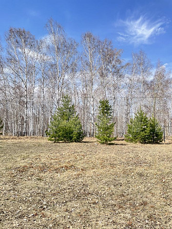 Продается участок, 10 соток Красноярск - изображение 2