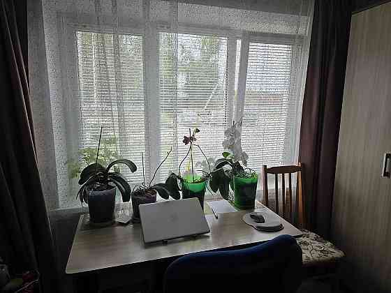 Продаю 1-к. квартира, 29,9 м², 1/9 эт. Сасово