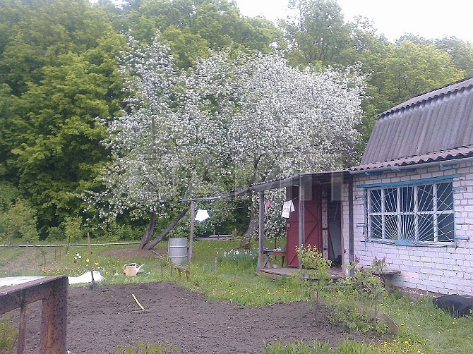 Продаю дачу 40 м² на участке 6 сот. Рыбное - изображение 9