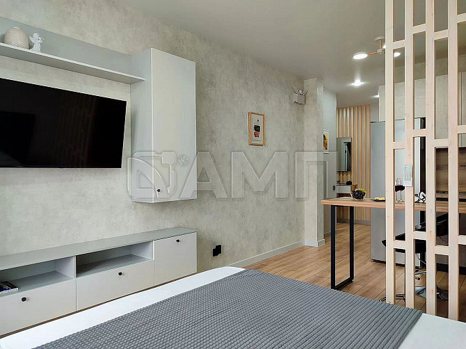 Сдается Квартира-студия, 27 м², 10/21 эт. Воронеж Воронеж - изображение 4