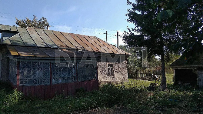 Продаю дом 50 м² на участке 47 сот. Первомайский - изображение 2